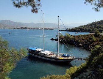 Prenses Selin photo 16