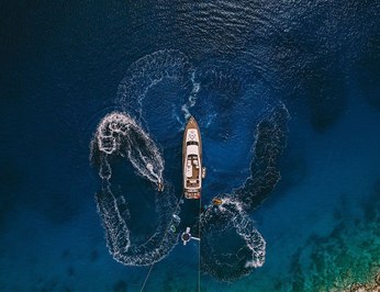 Seas The Day photo 45