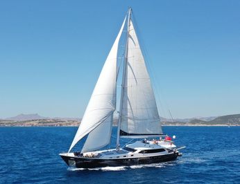 Canaria photo 33