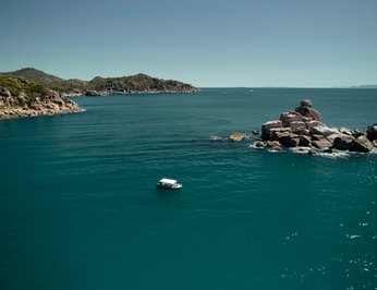 Flying Fish photo 95