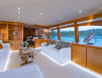 Hummingbird photo 68