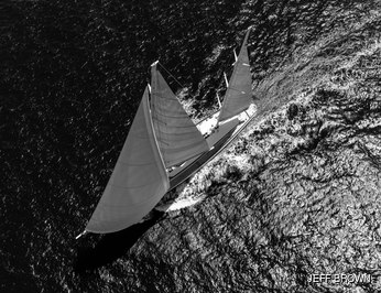 Simena photo 4