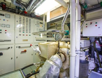 Jersey Pearl photo 27