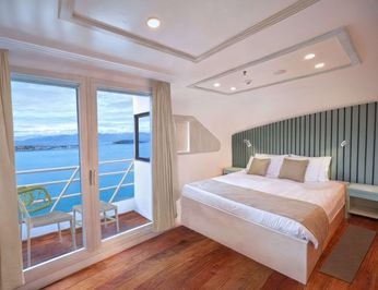 Galapagos Sea Star photo 8