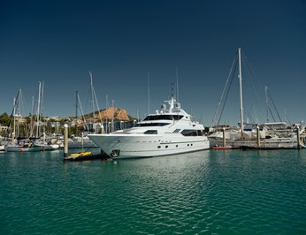 Flying Fish photo 11