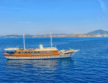 Elara 1 photo 32