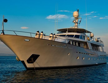 Nightflower photo 51