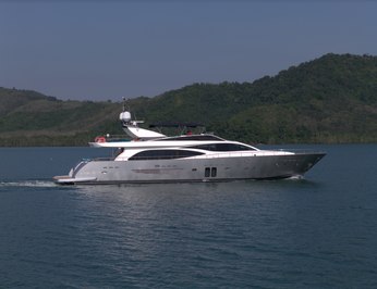 Hummingbird photo 41