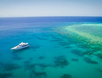 Flying Fish photo 75