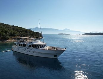 Stalca photo 26