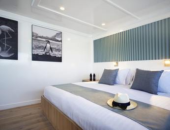 Galapagos Sea Star photo 14