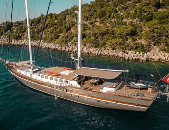 Nautilus photo 5