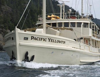 Pacific Yellowfin photo 27