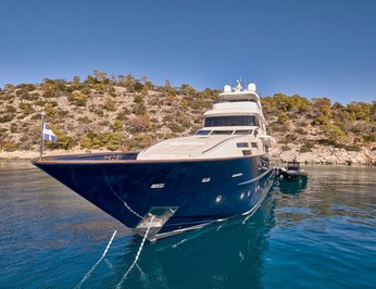 Condor A photo 27
