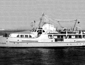 Red Sea Magic photo 8