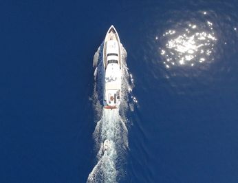 Flying Fish photo 63