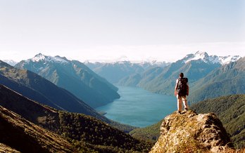 Discover New Zealand’s Wild Side