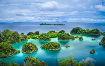 12 Days cruising the Raja Ampat Islands