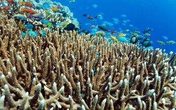 Nature at its finest: Island hopping around Indonesia