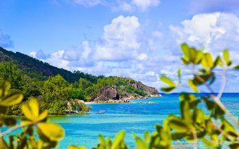 Inner Beauty Of The Seychelles