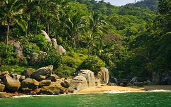 Magical Mexico: a surfing adventure