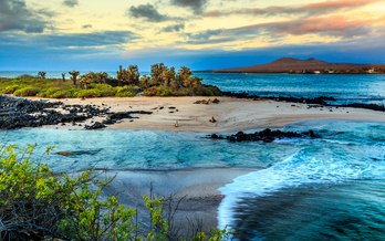 The Natural Wonders of the Galapagos