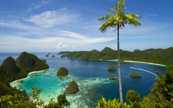 7 Days In Raja Ampat: The Last Paradise on Earth