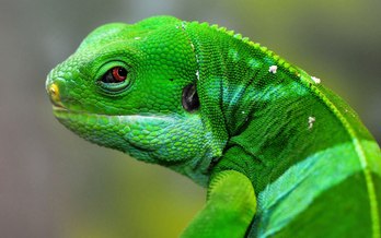 Idyllic island-hopping in Fiji