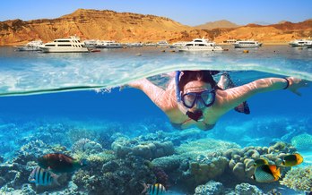 The Underwater Paradise of the Red Sea