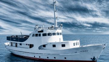 Tarmo charter yacht