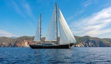 Tigra charter yacht