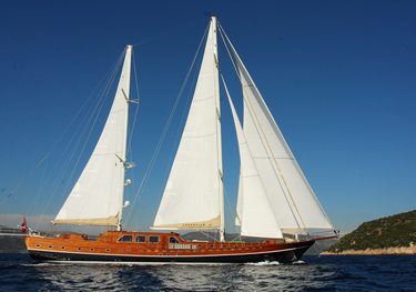 Carpe Diem V charter yacht