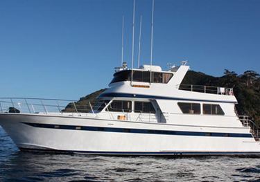 Paradiso charter yacht
