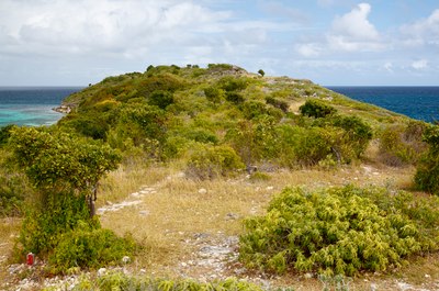 Great Bird Island