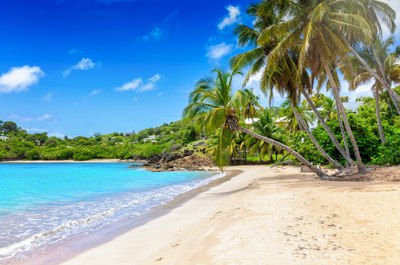 Carlisle Bay & the Southwest Coast