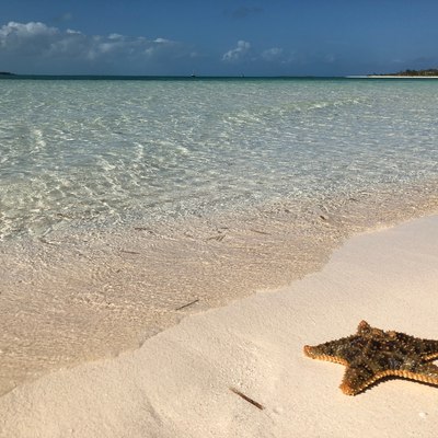 Relax and come alive in Great Guana Cay