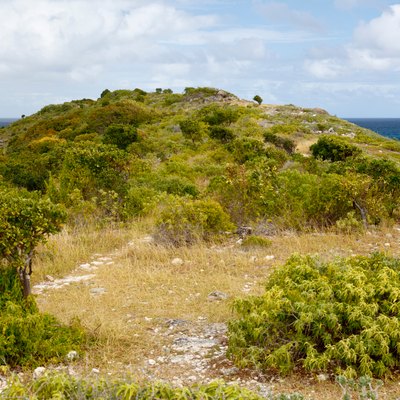 Great Bird Island