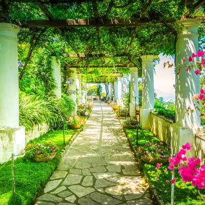 Experience the richness of Capri