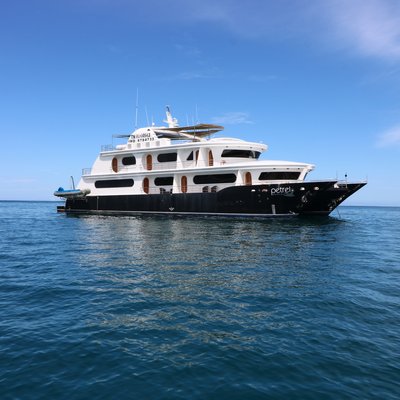 PETREL Yacht Charter Price - Custom Luxury Yacht Charter