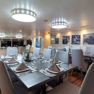 Galapagos Horizon Yacht 12