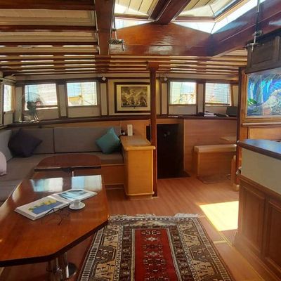 Amazon Solo Yacht 11