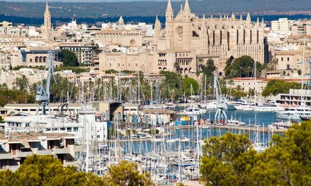Countdown to the Palma Superyacht Show Begins