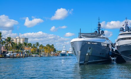 FLIBS 2020: Cancelled