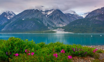Alaska - Summer Charter Vacation