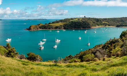 Entry Guidelines Refreshed For New Zealand Yacht Charters