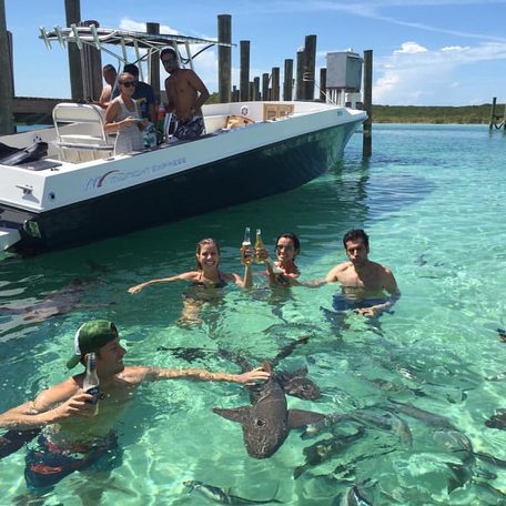 Friends with drinks in hand swimming with the sharks by a small boat 
