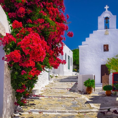 Overview of a traditional Greek church along a narrow street with red flowers to the left.