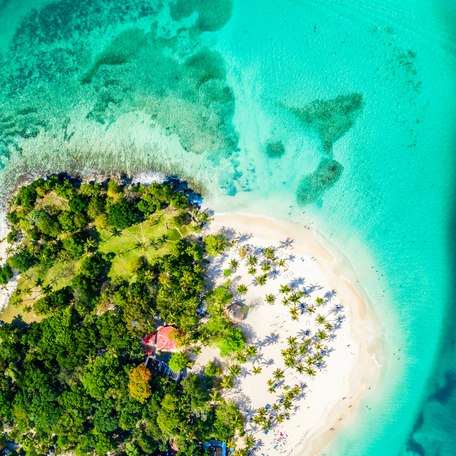 Aerial view looking straight down on the sandy coastline of a Caribbean island