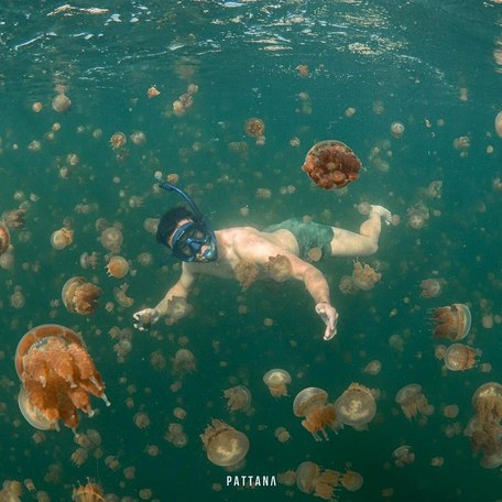 Man surrounded by jellyfish while snorkeling 