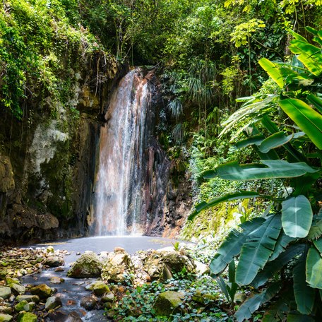 A cascading waterfall among dense foliage in the Caribbean